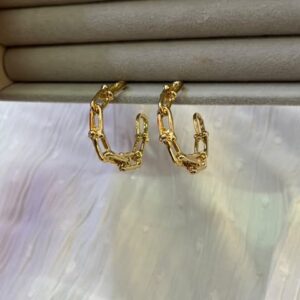 Chunky earrings